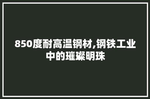 850度耐高温钢材,钢铁工业中的璀璨明珠