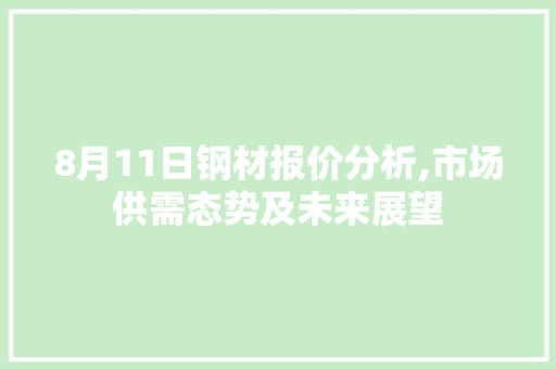 8月11日钢材报价分析,市场供需态势及未来展望