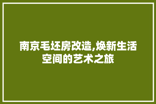 南京毛坯房改造,焕新生活空间的艺术之旅