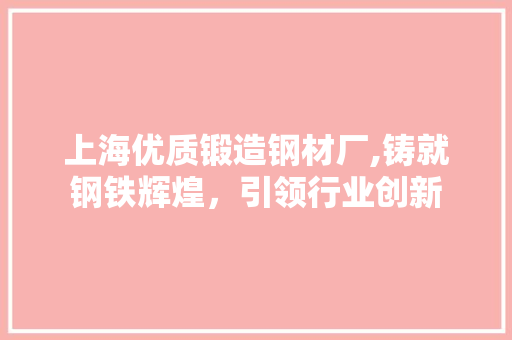 上海优质锻造钢材厂,铸就钢铁辉煌，引领行业创新