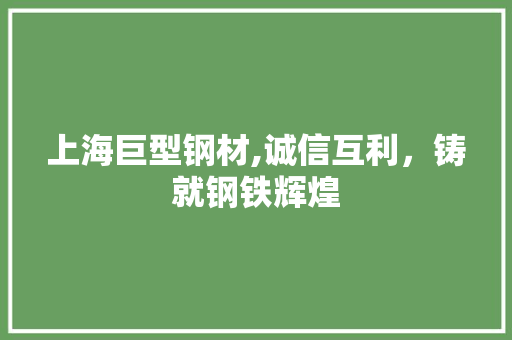 上海巨型钢材,诚信互利，铸就钢铁辉煌