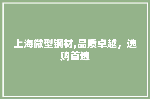 上海微型钢材,品质卓越，选购首选