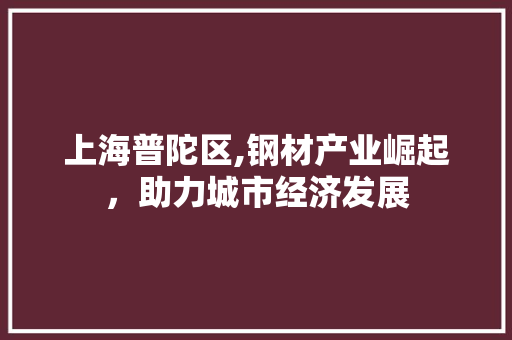 上海普陀区,钢材产业崛起，助力城市经济发展