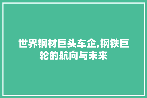 世界钢材巨头车企,钢铁巨轮的航向与未来
