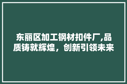 东丽区加工钢材扣件厂,品质铸就辉煌，创新引领未来