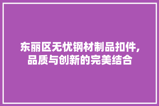 东丽区无忧钢材制品扣件,品质与创新的完美结合