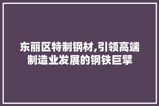 东丽区特制钢材,引领高端制造业发展的钢铁巨擘