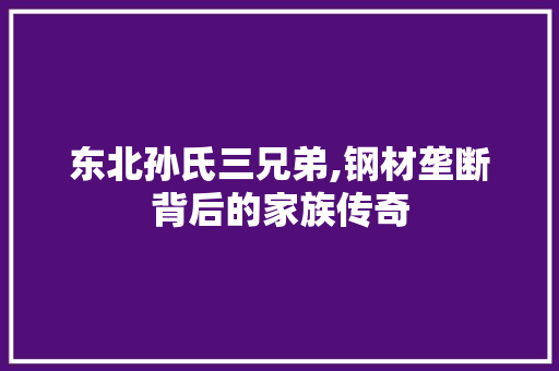 东北孙氏三兄弟,钢材垄断背后的家族传奇