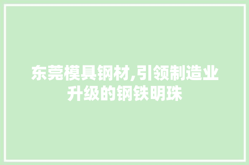 东莞模具钢材,引领制造业升级的钢铁明珠