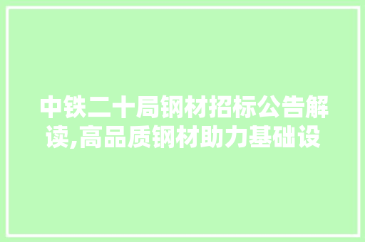 中铁二十局钢材招标公告解读,高品质钢材助力基础设施建设