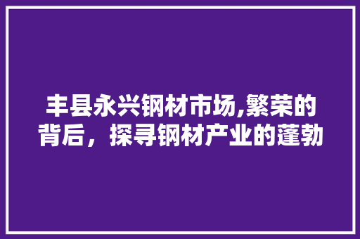 丰县永兴钢材市场,繁荣的背后，探寻钢材产业的蓬勃发展