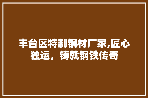 丰台区特制钢材厂家,匠心独运，铸就钢铁传奇