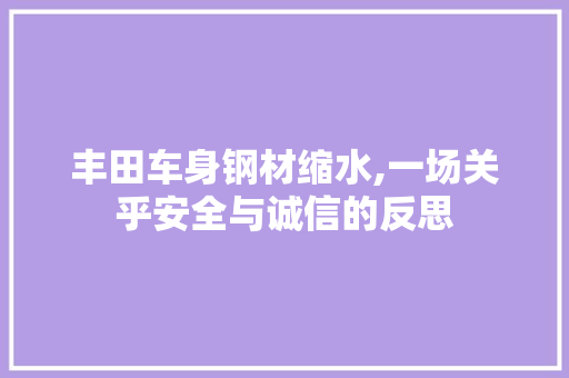 丰田车身钢材缩水,一场关乎安全与诚信的反思