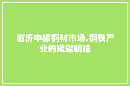 临沂中板钢材市场,钢铁产业的璀璨明珠
