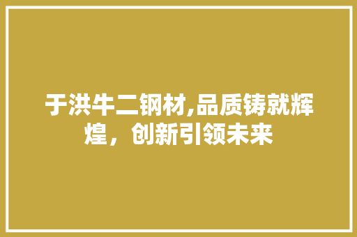 于洪牛二钢材,品质铸就辉煌，创新引领未来