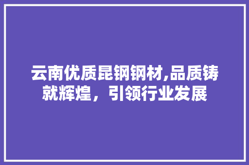 云南优质昆钢钢材,品质铸就辉煌，引领行业发展