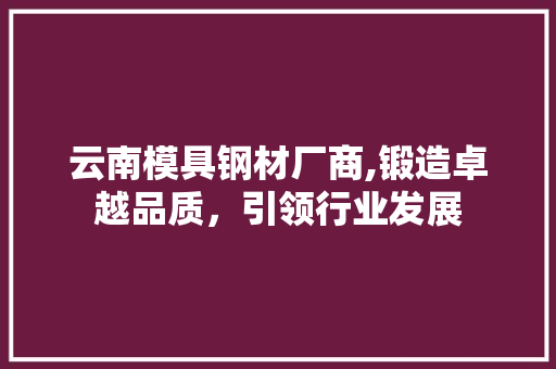云南模具钢材厂商,锻造卓越品质，引领行业发展