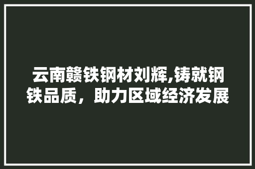 云南赣铁钢材刘辉,铸就钢铁品质，助力区域经济发展