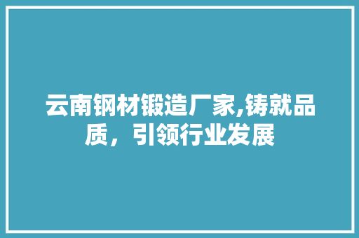 云南钢材锻造厂家,铸就品质，引领行业发展
