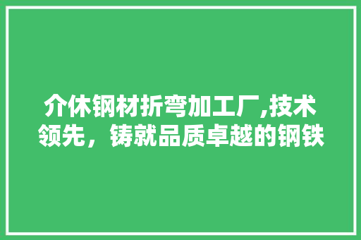 介休钢材折弯加工厂,技术领先，铸就品质卓越的钢铁传奇