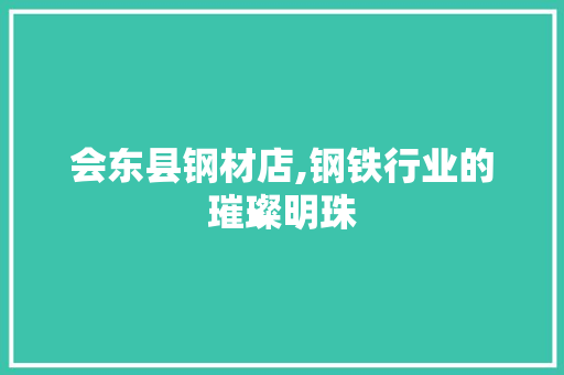 会东县钢材店,钢铁行业的璀璨明珠