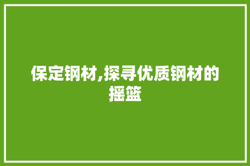保定钢材,探寻优质钢材的摇篮