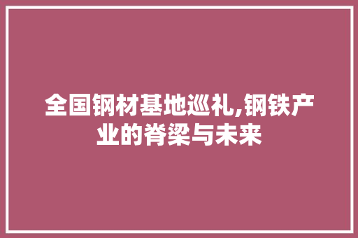 全国钢材基地巡礼,钢铁产业的脊梁与未来