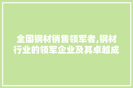 全国钢材销售领军者,钢材行业的领军企业及其卓越成就