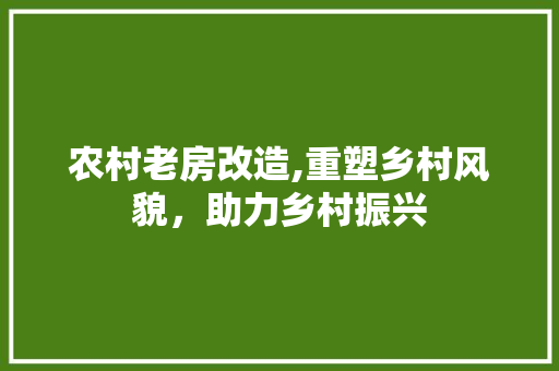 农村老房改造,重塑乡村风貌，助力乡村振兴