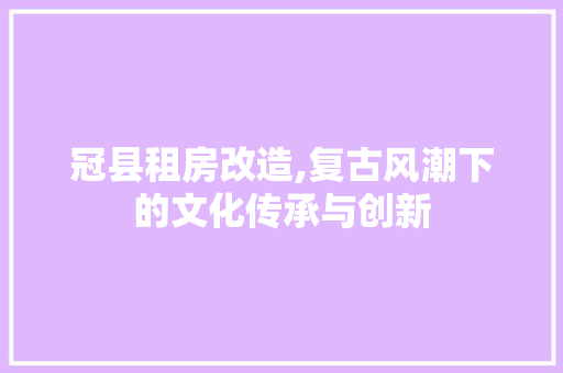 冠县租房改造,复古风潮下的文化传承与创新