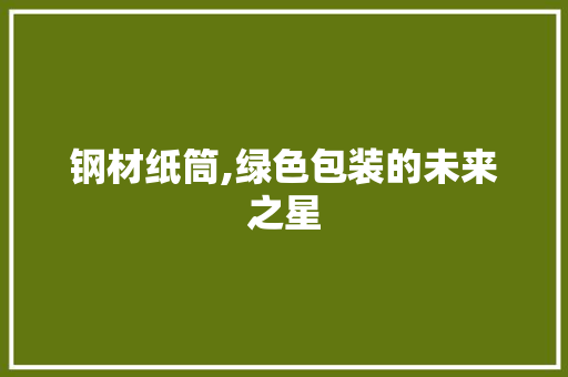 钢材纸筒,绿色包装的未来之星