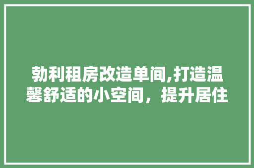 勃利租房改造单间,打造温馨舒适的小空间，提升居住品质