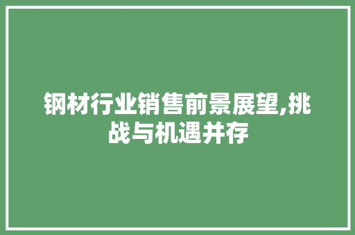 钢材行业销售前景展望,挑战与机遇并存