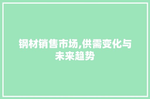 钢材销售市场,供需变化与未来趋势