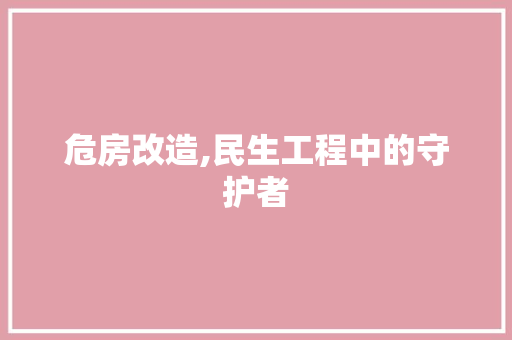 危房改造,民生工程中的守护者