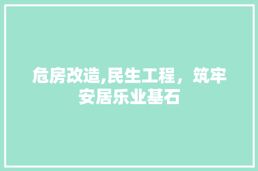 危房改造,民生工程，筑牢安居乐业基石