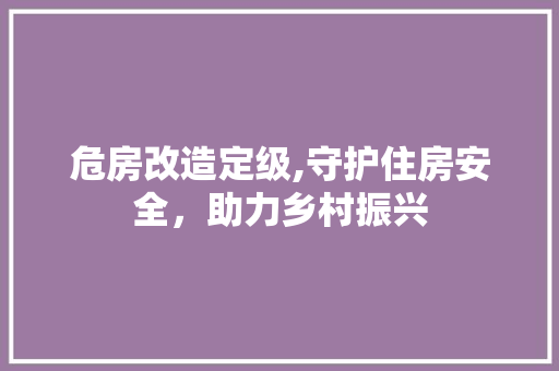 危房改造定级,守护住房安全，助力乡村振兴