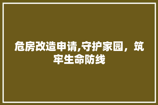 危房改造申请,守护家园，筑牢生命防线