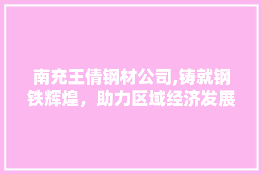 南充王倩钢材公司,铸就钢铁辉煌，助力区域经济发展