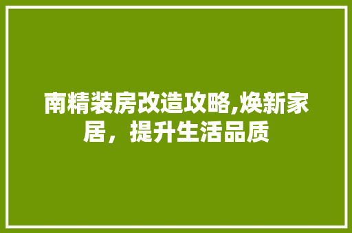 南精装房改造攻略,焕新家居，提升生活品质