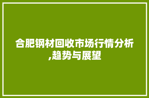 合肥钢材回收市场行情分析,趋势与展望