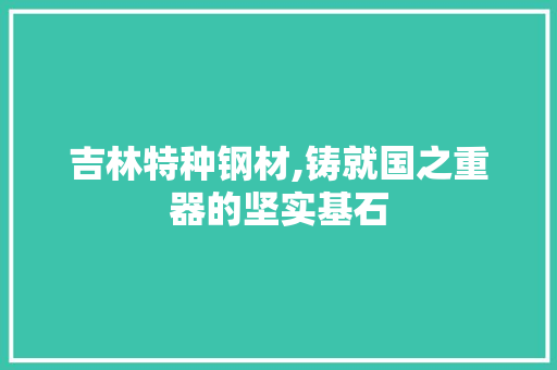 吉林特种钢材,铸就国之重器的坚实基石