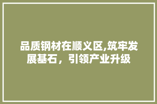 品质钢材在顺义区,筑牢发展基石，引领产业升级