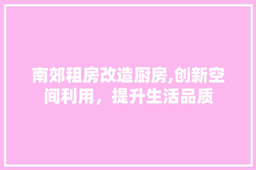 南郊租房改造厨房,创新空间利用，提升生活品质