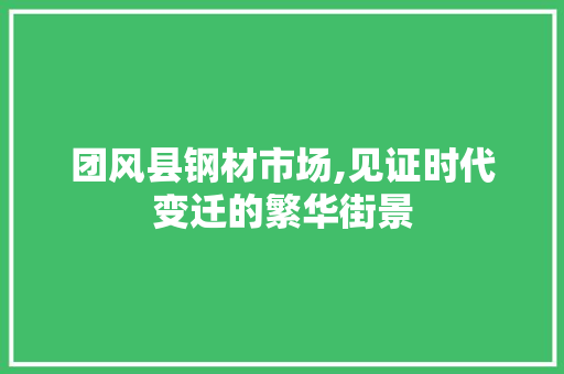 团风县钢材市场,见证时代变迁的繁华街景