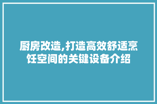 厨房改造,打造高效舒适烹饪空间的关键设备介绍
