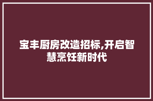 宝丰厨房改造招标,开启智慧烹饪新时代