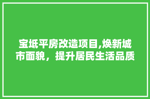 宝坻平房改造项目,焕新城市面貌，提升居民生活品质