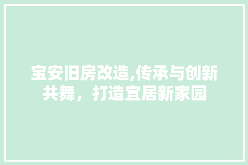 宝安旧房改造,传承与创新共舞，打造宜居新家园
