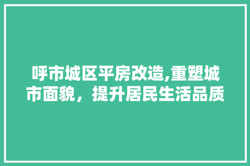 呼市城区平房改造,重塑城市面貌，提升居民生活品质